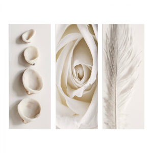 ΠΙΝΑΚΑΣ ΤΡΙΠΤΥΧΟ MDF NATURAL ELEMENTS HM7204.05 60X0